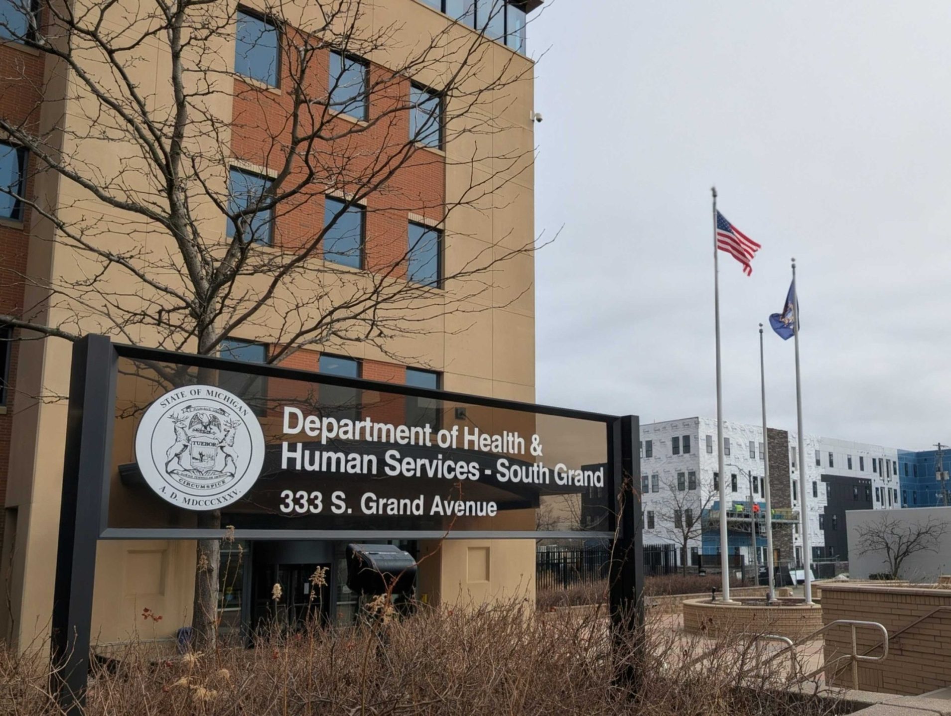 Michigan confirms third pediatric flu death, first measles case of year