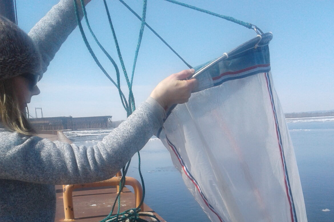 Bloody red shrimp found in Lake Superior; invader now in all 5 Great Lakes