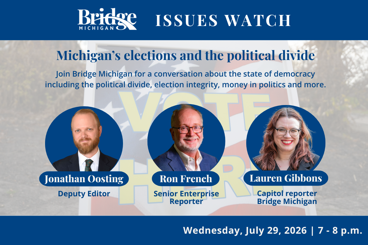 Bridge Listens Issues Watch continues with virtual discussion on democracy