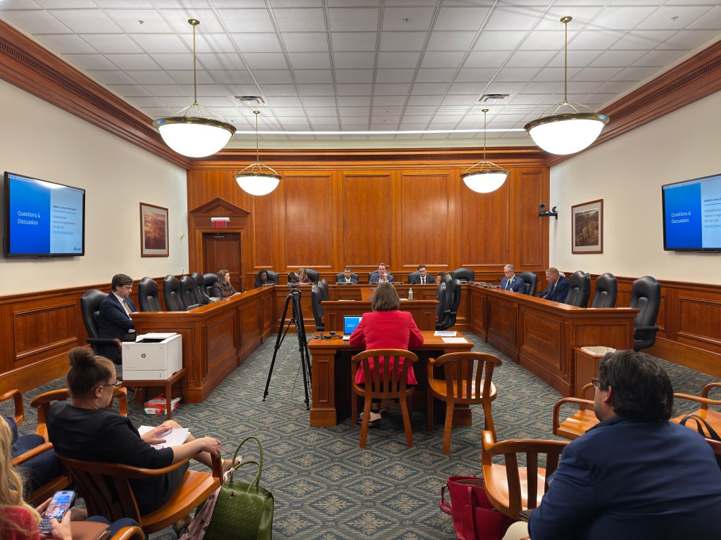 a shot of the back of a seated woman testifying before a legislative committee.