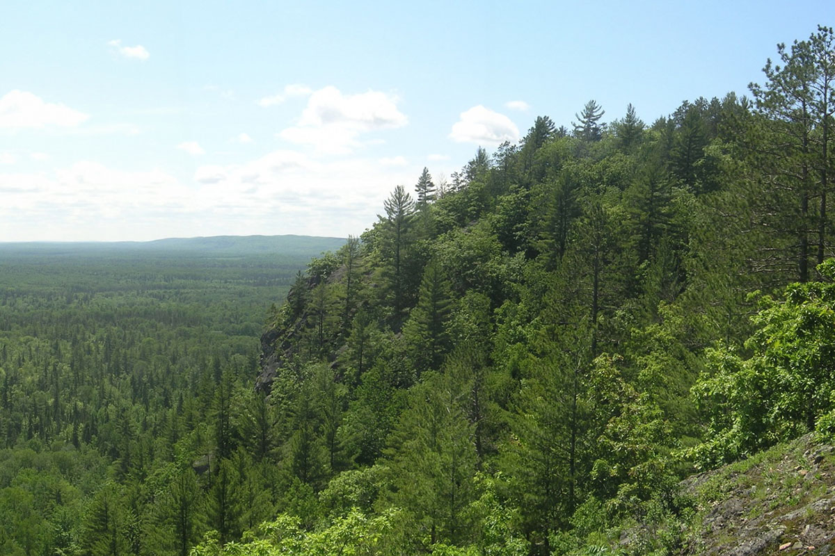 Groups fight to keep 16,000 acres of national forest in Michigan road-free