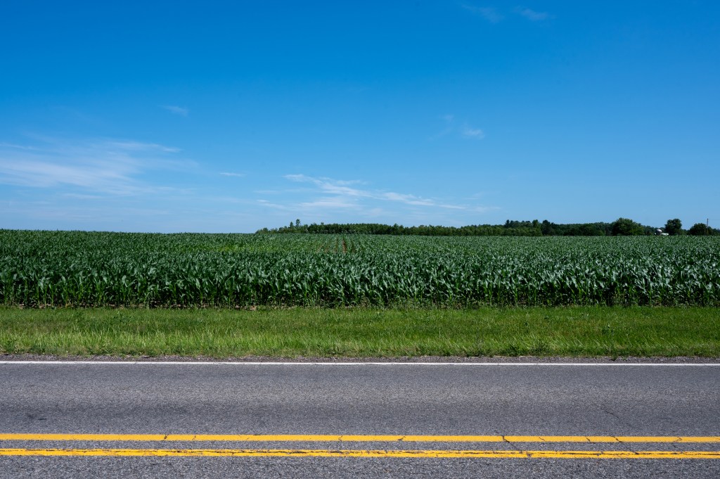 a rural field next to a road